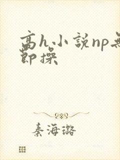 高h小说np无节操