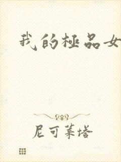 我的极品女老师封面