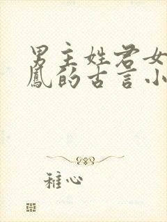 男主姓君女主姓凤的古言小说