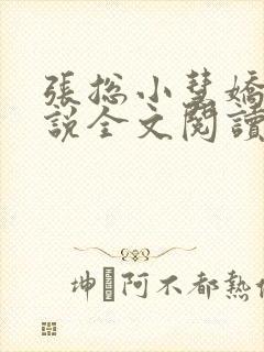 张总小慧娇妻小说全文阅读封面