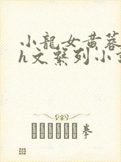 小龙女黄蓉高辣h文系列小说介绍