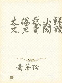 大总裁小鲜妻全文免费阅读封面