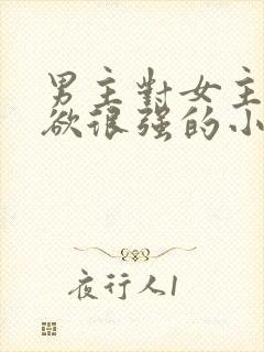 男主对女主占有欲很强的小说