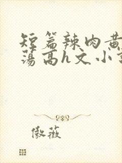 短篇辣肉黄辣放荡高h文小说