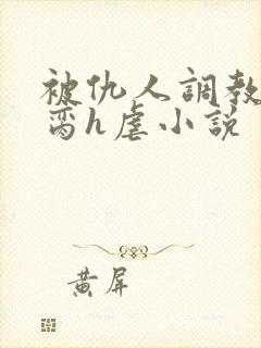 被仇人调教成禁脔h虐小说封面
