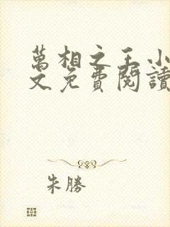 万相之王小说全文免费阅读无弹窗封面