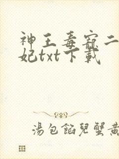 神王毒宠二嫁王妃txt下载