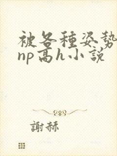 被各种姿势玩弄np高h小说封面