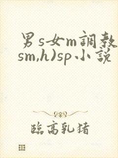 男s女m调教(sm,h)sp小说