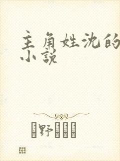 主角姓沈的都市小说