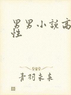 男男小说高h双性