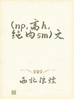 (np,高h,纯肉sm)文