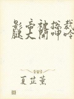 影帝被总裁c双腿大开呻呤bl封面