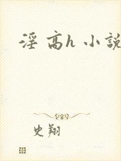 淫 高h 小说
