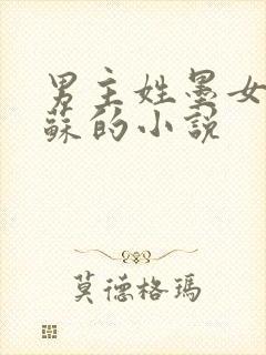 男主姓墨女主姓苏的小说
