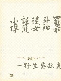 小说从斗罗开始俘获女神最新章节