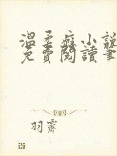 温柔瘾小说全文免费阅读笔趣阁封面