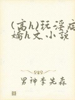 (高h)玩淫病娇h文小说