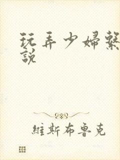 玩弄少妇系列小说