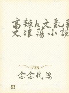 高辣h文乱乳h文浪荡小说苏柔封面