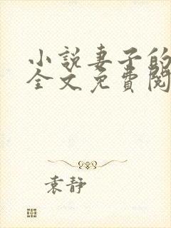 小说妻子的秘密全文免费阅读全文