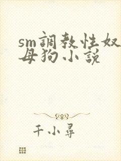 sm调教性奴隶母狗小说