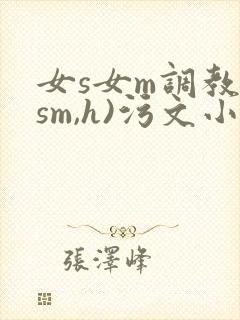 女s女m调教(sm,h)污文小说^0^/+