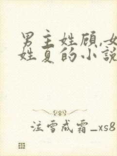 男主姓顾,女主姓夏的小说