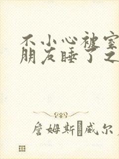不小心被室友男朋友睡了之后小说by辣梨宁笑封面