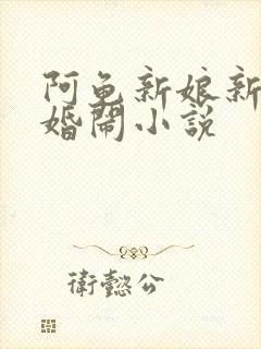 阿龟新娘新婚夜婚闹小说封面