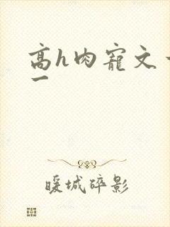 高h肉宠文一对一