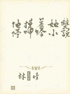 他摸着她双乳不停呻吟小说