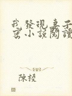 我发现妻子的秘密小说阅读