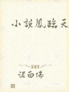 小说凤临天下