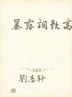 暴露调教高h文