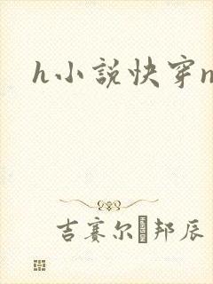 h小说快穿np