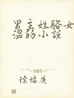 男主姓骆女主姓温的小说