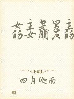 女主是男主兄弟的女朋友的小说封面