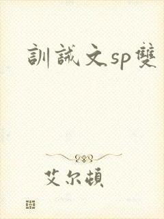 训诫文sp双男