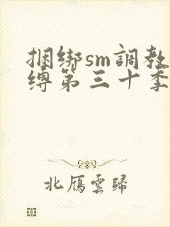 捆绑sm调教束缚第三十季