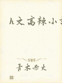 h文高辣小说