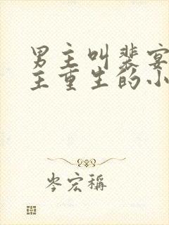 男主叫裴宴,女主重生的小说封面