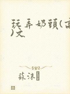 玩弄奶头(高h)文