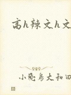 高h辣文h文封面