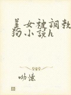 美女被调教成母狗小说h封面