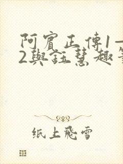 阿宾正传1—72与钰慧趣笔阁