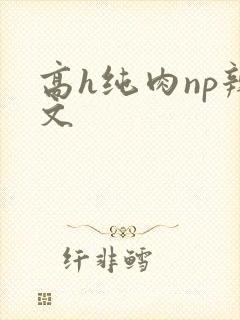 高h纯肉np辣文