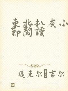 东北扒灰小说分节阅读