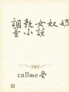 调教女奴奶头阴蒂小说