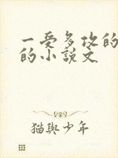 一受多攻的肉肉的小说文